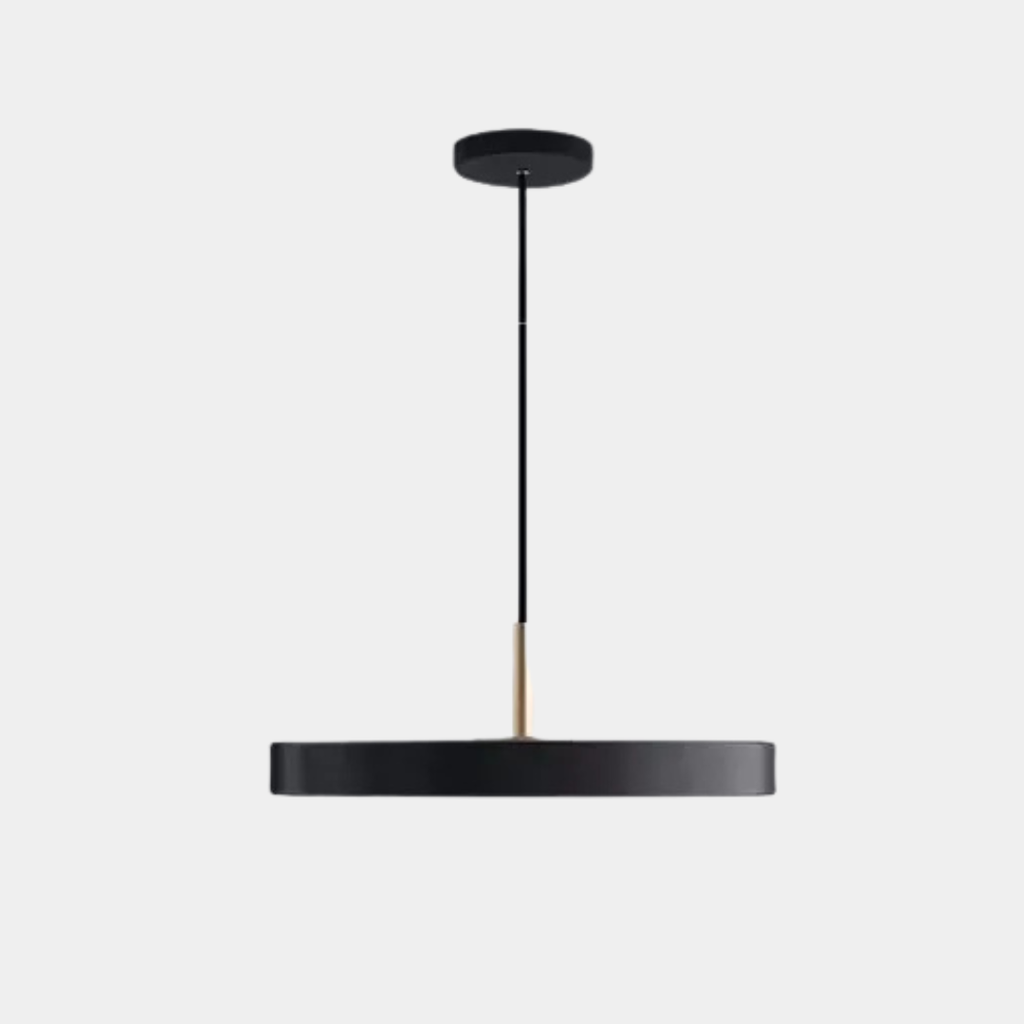 Lámpara Colgante LED de Disco – Luz Regulable para Ambientes Modernos-Ceiling Light Fixtures-Hogar88-Negro-Blanco frío-23cm-Hogar88