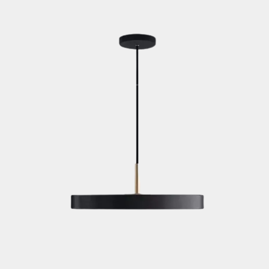 Lámpara Colgante LED de Disco – Luz Regulable para Ambientes Modernos-Ceiling Light Fixtures-Hogar88-Negro-Blanco frío-23cm-Hogar88