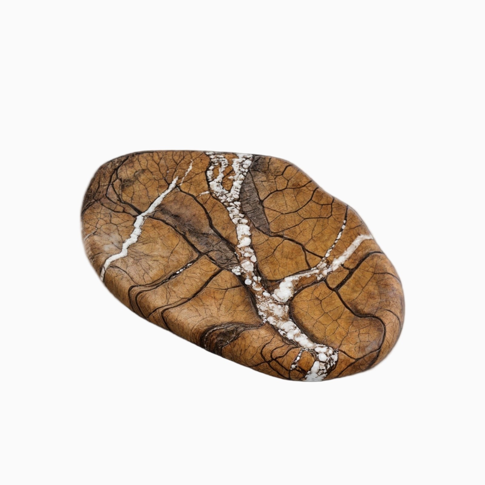 Bandeja de Mármol – Calacatta Viola – Piedra Natural – Rainforest Brown-Decorative Trays-Hogar88